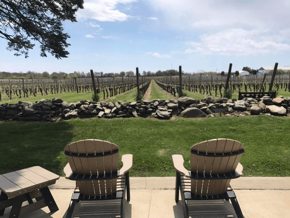 newport vinyards wine tastings