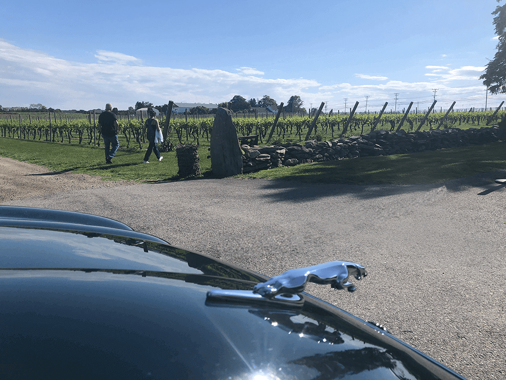 best newport wine tastings